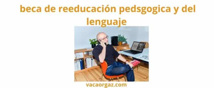 Beca apoyo para reeducación pedagógica y reeducación del lenguaje