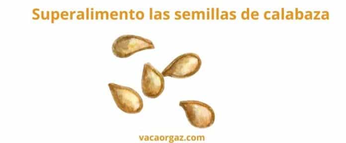 Superalimento las semillas de calabaza
