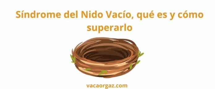 Síndrome de nido vacío