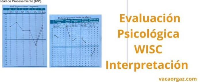 Psicólogo Interpretación informe WISC V