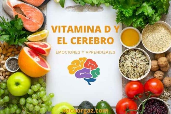 Cuáles son los alimentos con vitamina D