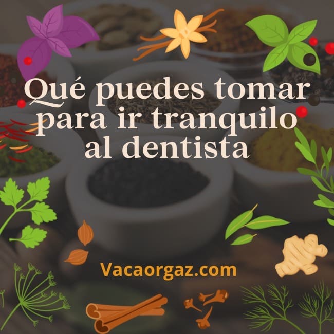 Qué tomar para ir tranquilo al dentista