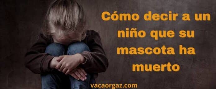 Cómo decir a un niño que su mascota ha muerto
